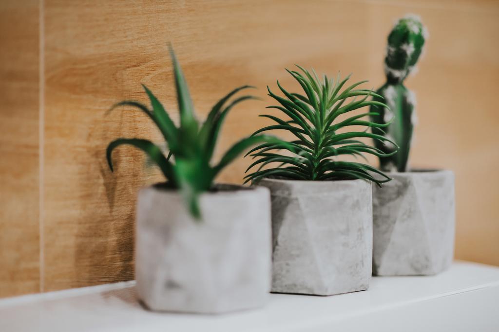 Mia Apartament Kraków